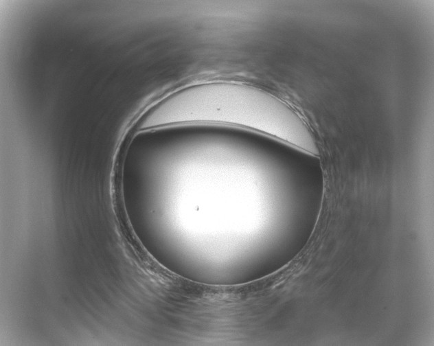 X0000068860340200605051049