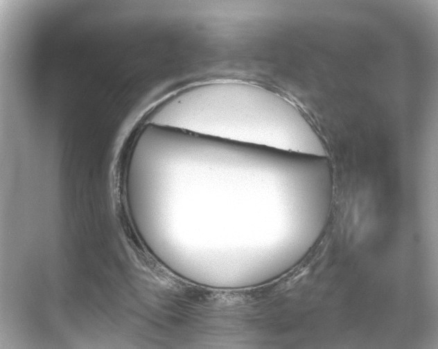 X0000068860343200605051049