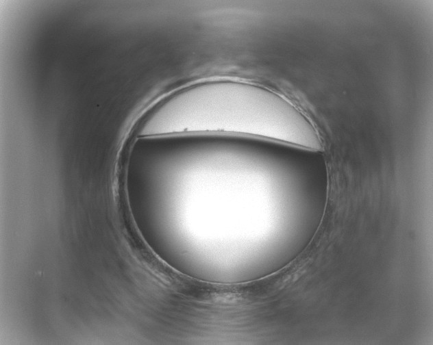 X0000068860344200605051049
