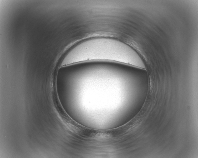 X0000068860348200605051049