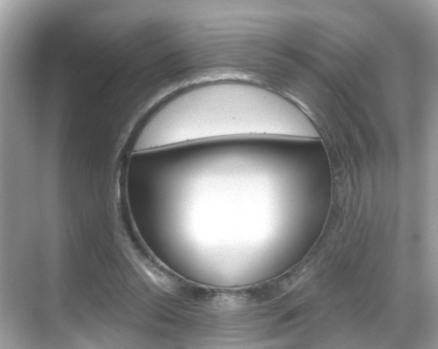 X0000068860350200605051049
