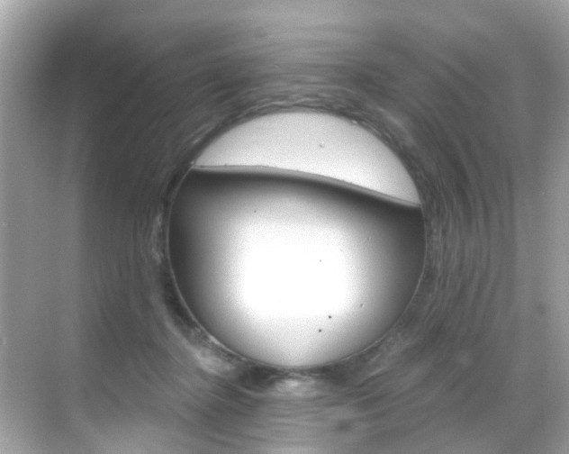 X0000068860364200605051049