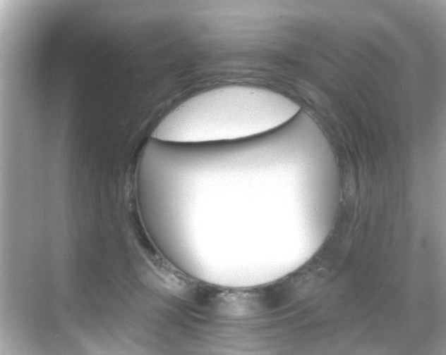 X0000068860367200605051049