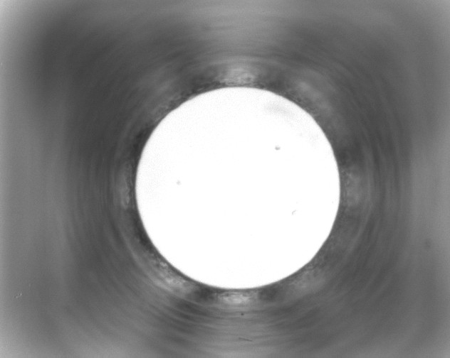X0000068860370200605051050