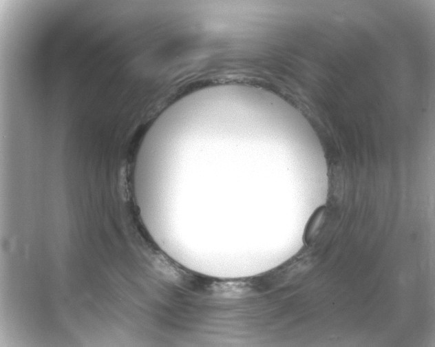 X0000068860378200605051050