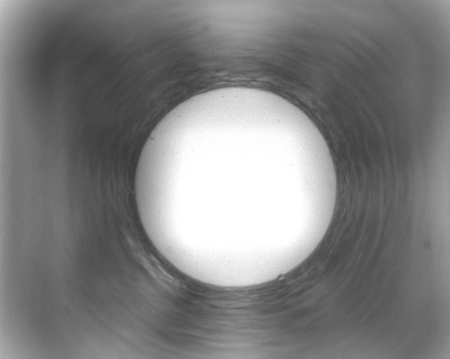 X0000068860380200605051050