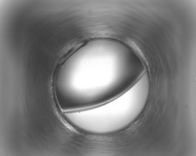 X0000068860389200605051049