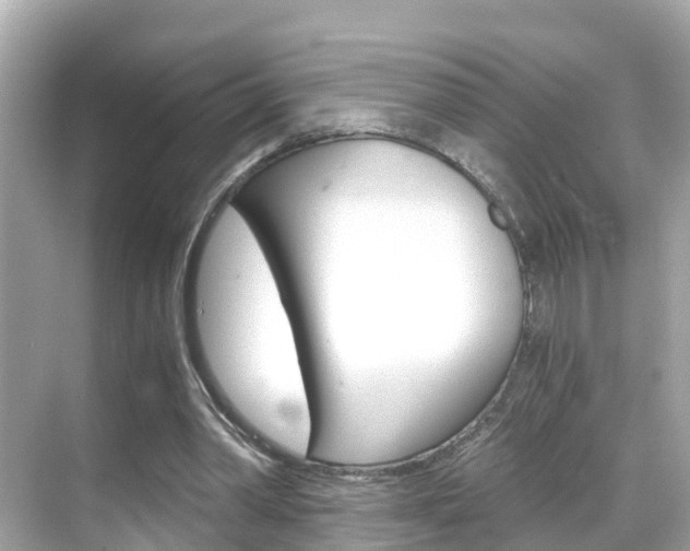 X0000068860390200605051049
