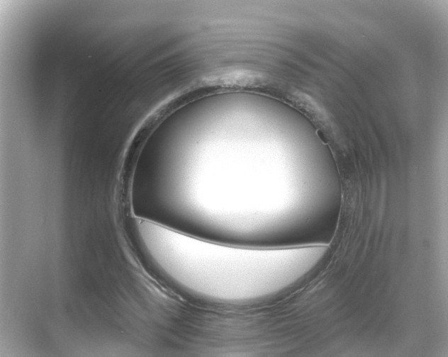 X0000068860392200605051049