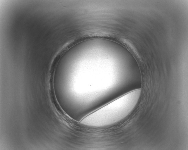 X0000068860395200605051049