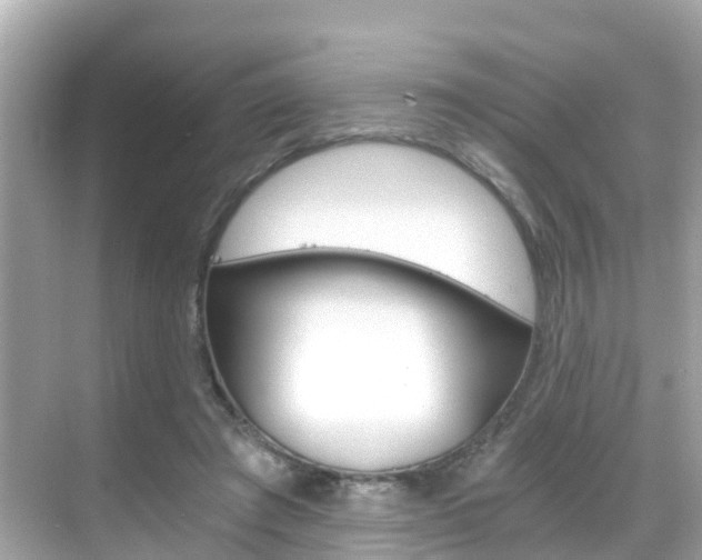 X0000068860401200605051049