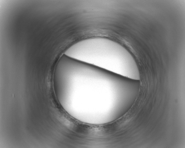 X0000068860402200605051049