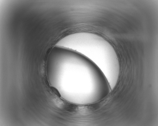 X0000068860413200605051048