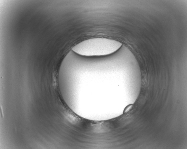 X0000068860430200605051048