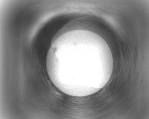 X0000068860431200605051048