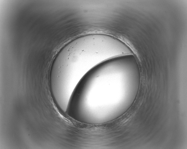 X0000068860433200605051047