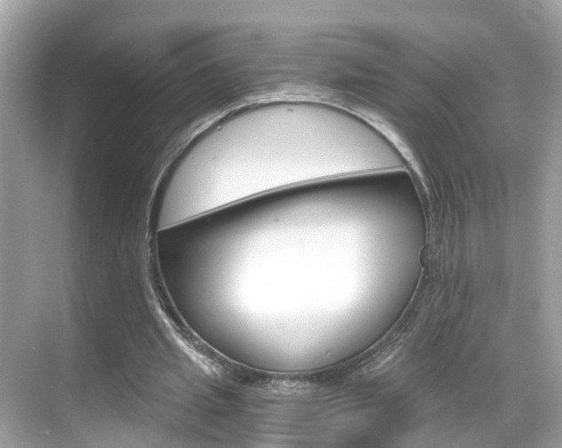 X0000068860437200605051047
