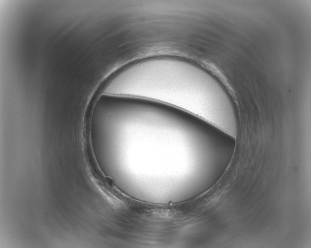 X0000068860439200605051047