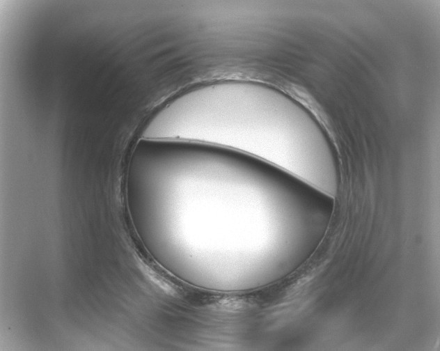 X0000068860441200605051048