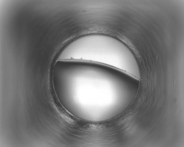 X0000068860442200605051048