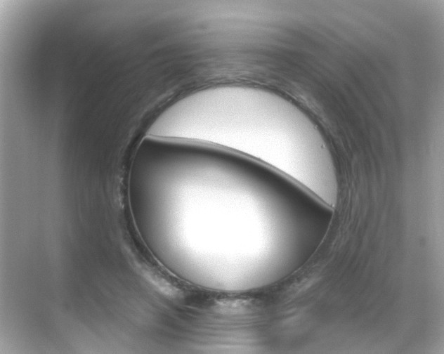 X0000068860450200605051048
