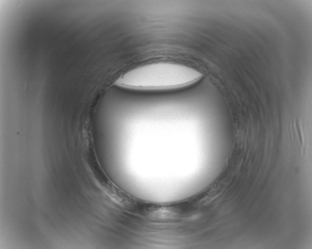 X0000068860460200605051048