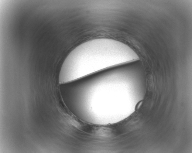X0000068860463200605051048