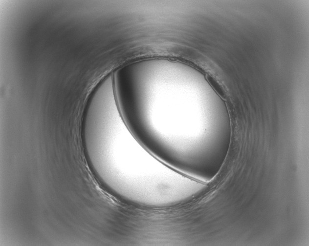 X0000068860481200605051047