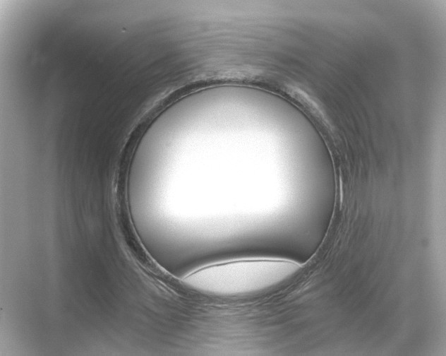 X0000068860483200605051047