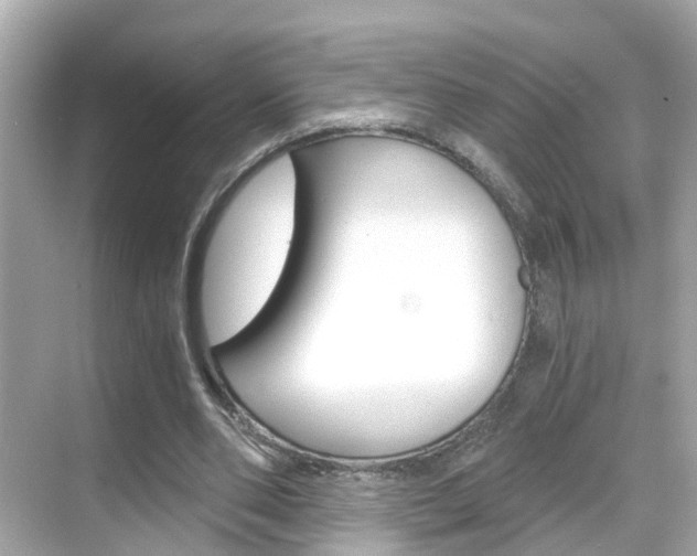 X0000068860486200605051047