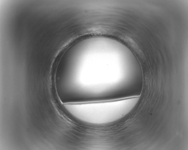 X0000068860488200605051047