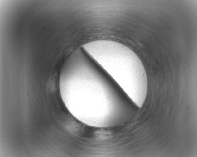 X0000068860515200605051047
