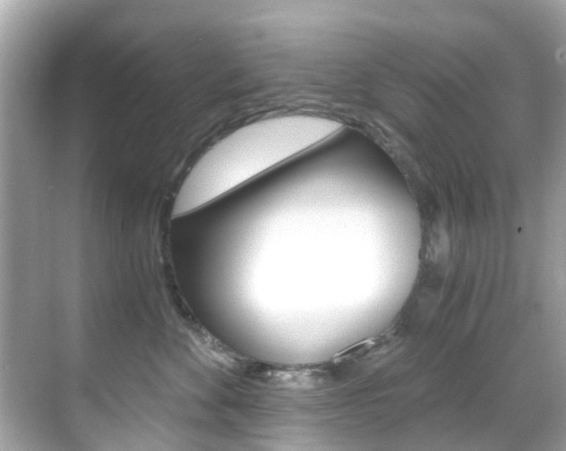 X0000068860524200605051047