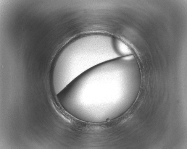 X0000068860533200605051046