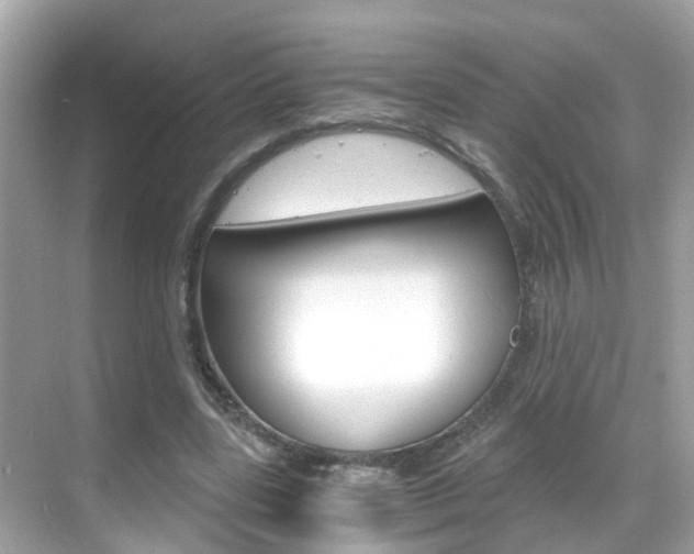 X0000068860539200605051046