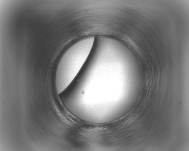 X0000068860542200605051046