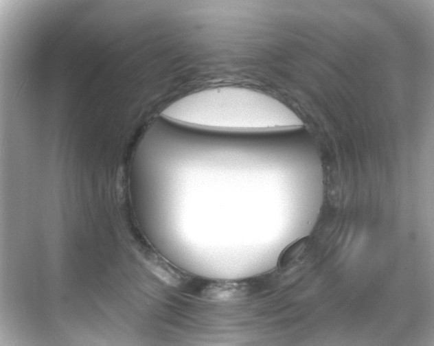 X0000068860563200605051046
