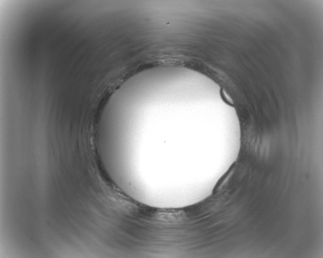 X0000068860571200605051046