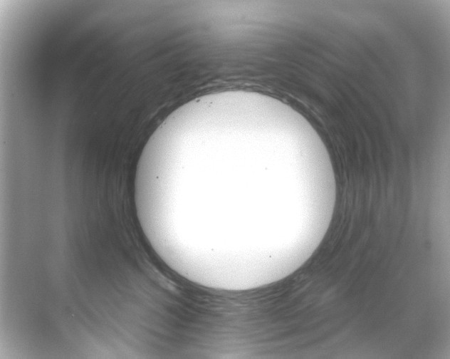 X0000068860572200605051046