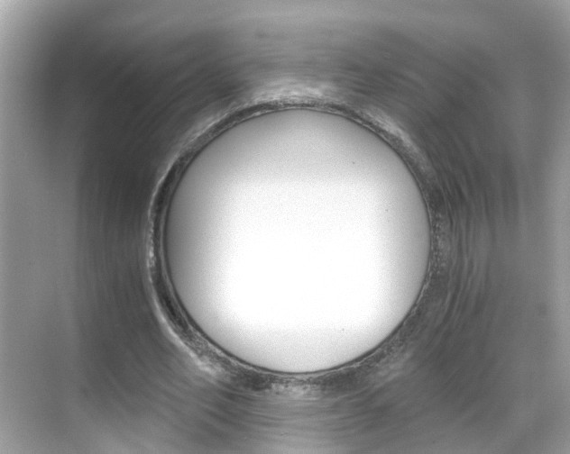 X0000068860582200605051046