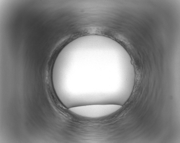 X0000068860587200605051046