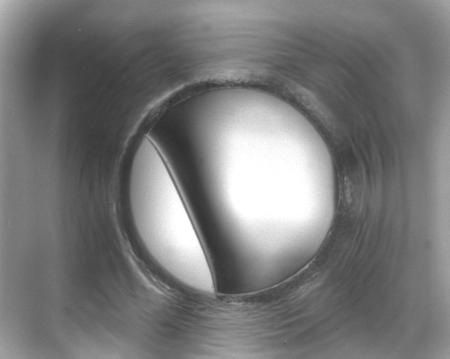 X0000068860588200605051046