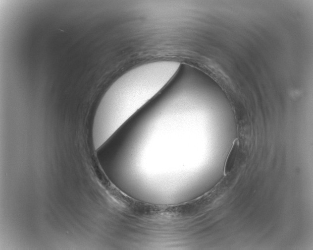 X0000068860593200605051045