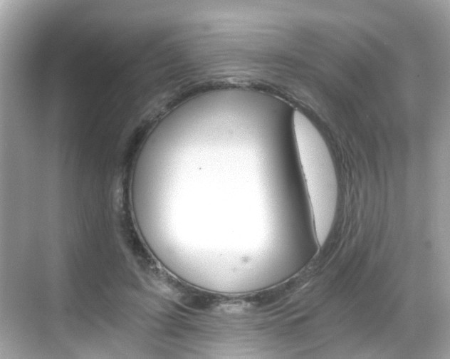 X0000068860595200605051045