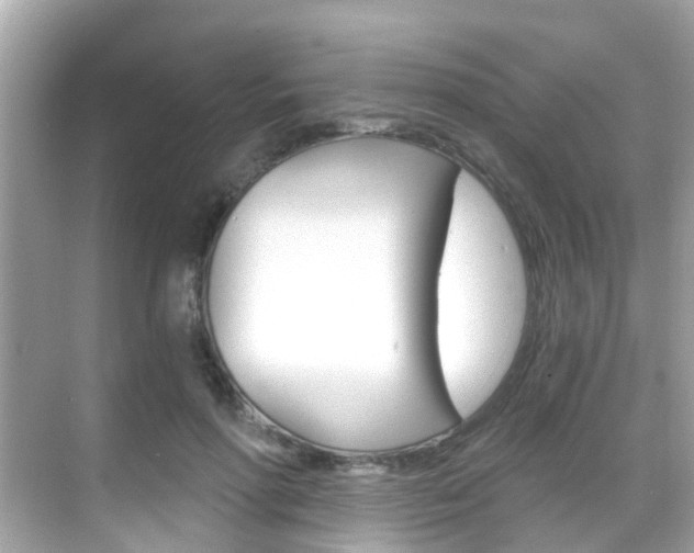 X0000068860598200605051045