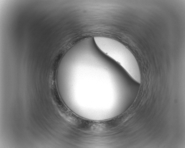 X0000068860599200605051045