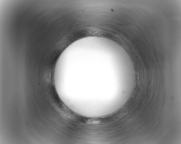 X0000068860602200605051045