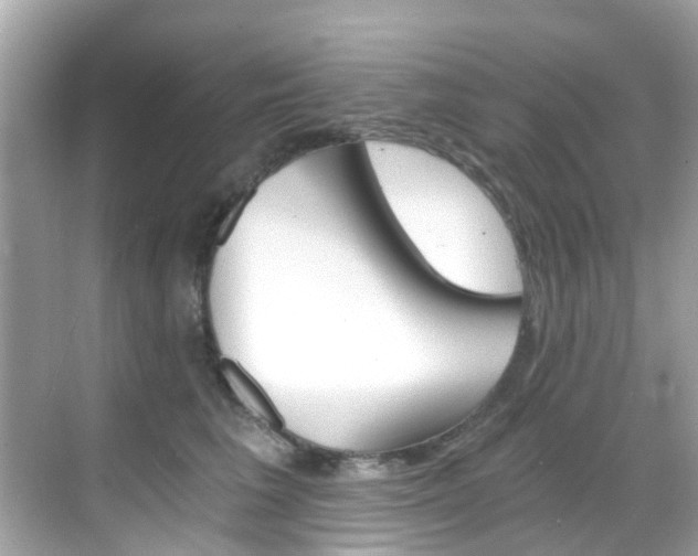 X0000068860613200605051045
