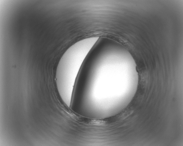 X0000068860617200605051045