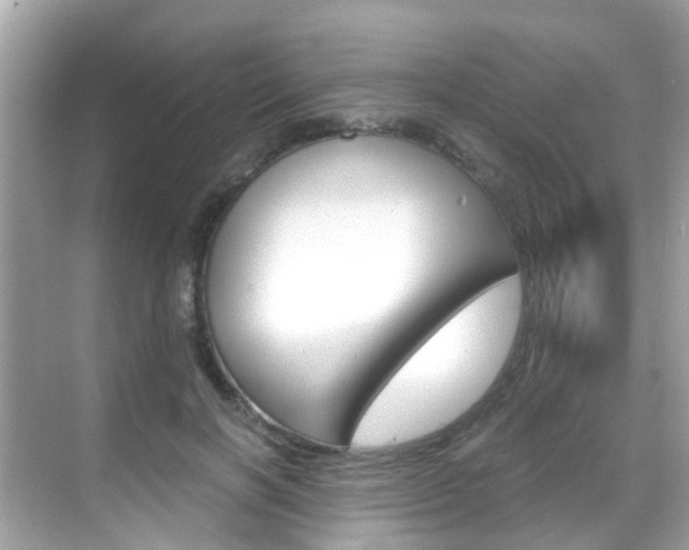 X0000068860646200605051044